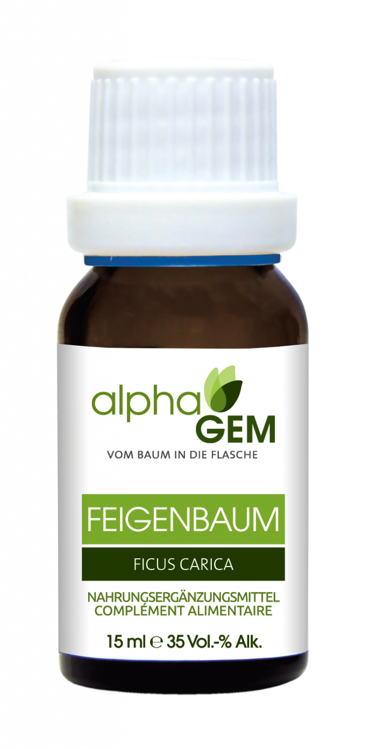 AlphaGem Knospenmazerat Feigenbaum (Ficus carica)