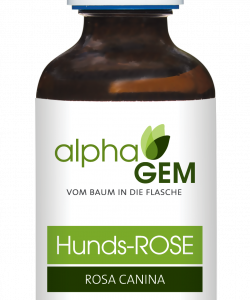 Hunds-Rose (Rosa canina) - 50ml + Sprühkopf