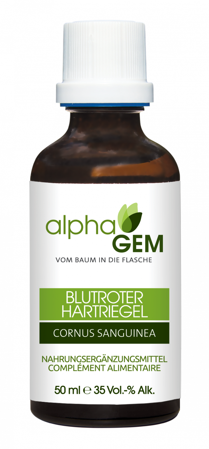 AlphaGem Knospenmazerat Blutroter Hartriegel (Cornus sanguinea) 50ml