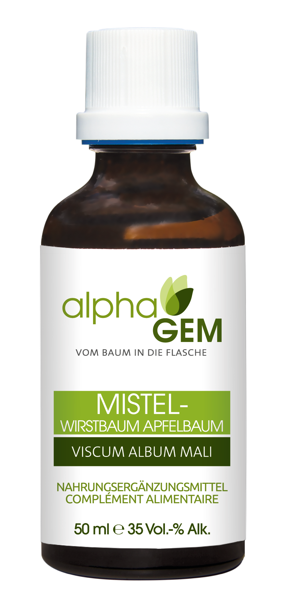 Mistel Wirtsbaum Apfelbaum (Viscum album mali)