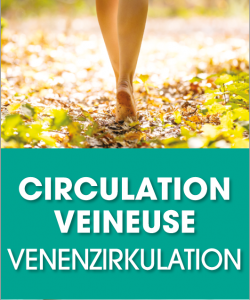 Venenzirkulation Kräuter Balsam